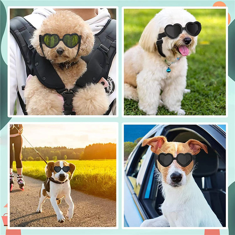 1 PC Heart-shaped Small Dog Su - Sunglass Retainer Cord ulasan dan harga